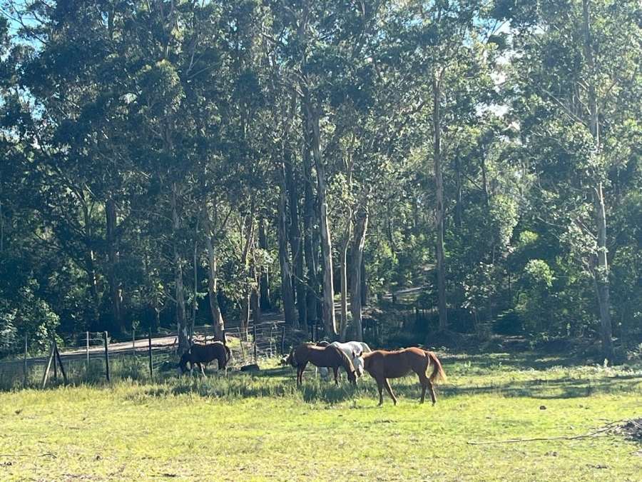 Commercial Property for Sale in Plettenberg Bay Rural Western Cape